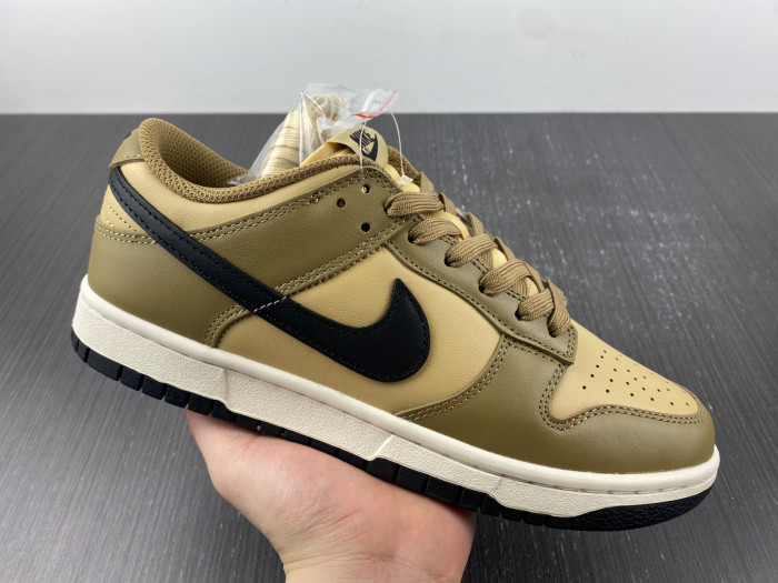 Nike SB Low Dark Driftwood DD1503-200