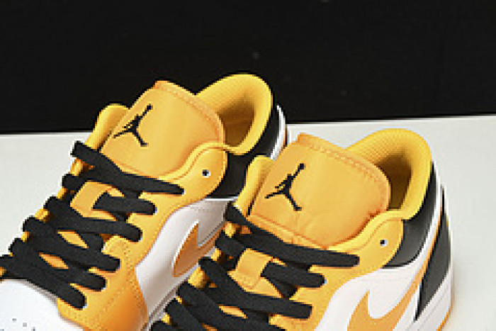 Nike SB Low 553558-701